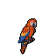 Isometric pixel art of a scarlet macaw, toucan, green tree frog, sea turtle, and monkey in a jungle setting.