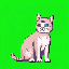 Stylized cat with light beige and grey fur, blue eyes, and dark brown outlines, sitting upright in profile facing right against a solid lime green background.