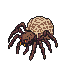 A large, menacing spider with segmented, dark legs and a pale, mottled beige abdomen. Its brown body has multiple eyes with a faint orange luminescence.