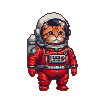 Tabby Astronaut Dashes to Space Adventure