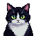 A tuxedo cat with wide green eyes and a fluffy white chest, its mouth open in a startled expression, against a dark checkered background.