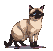 Siamese Cat Rests: Peaceful Blue Eyes, Gentle Animation
