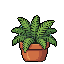 Cozy Potted Plants: Natural Greenery & Gentle Motion