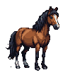 A bay horse with a white blaze on its face, its dark mane and tail subtly animated.