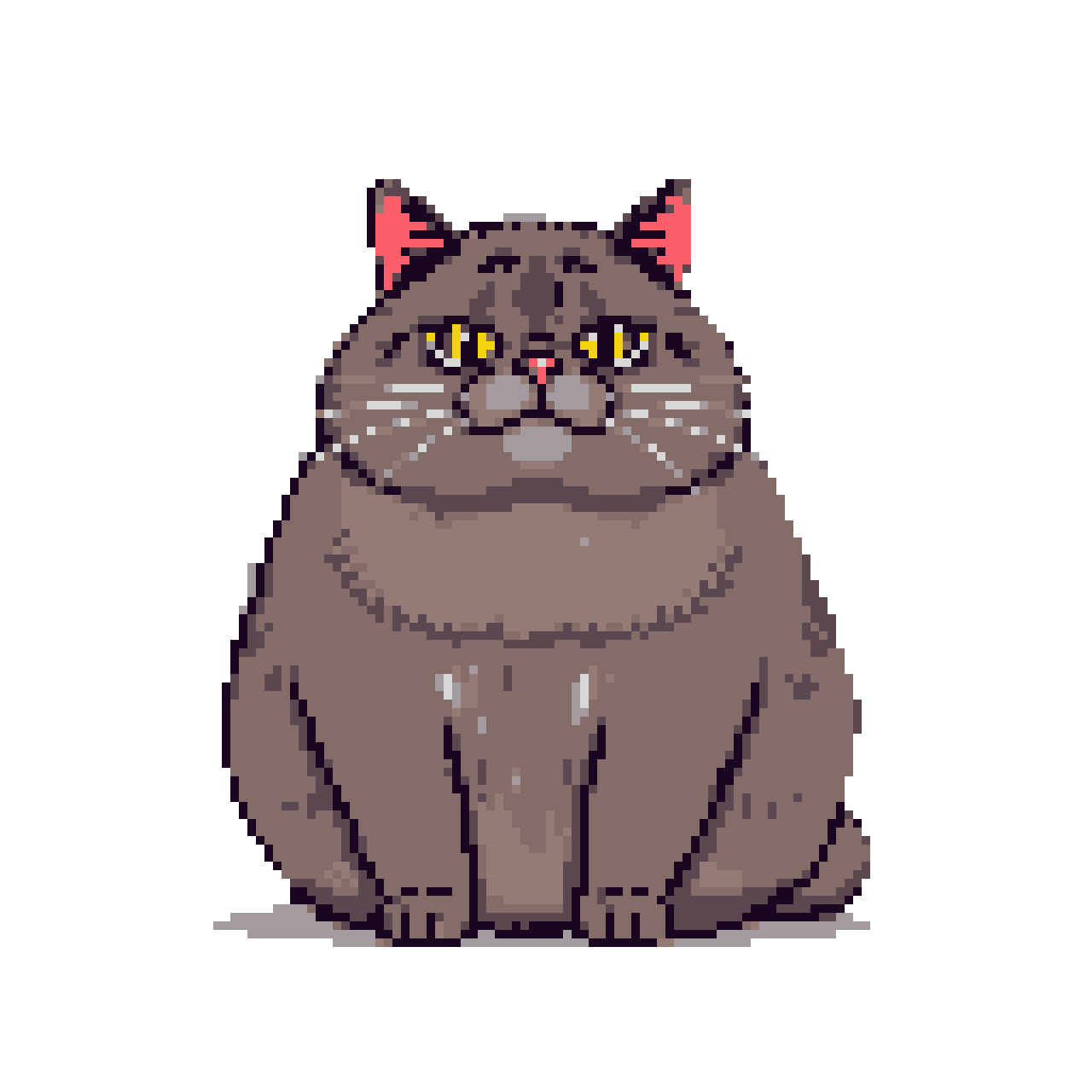 Grumpy Gray Cat Sits in Black Void