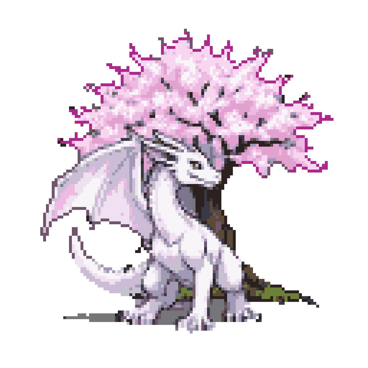 White Dragon & Sakura Bloom: Ethereal Tranquility