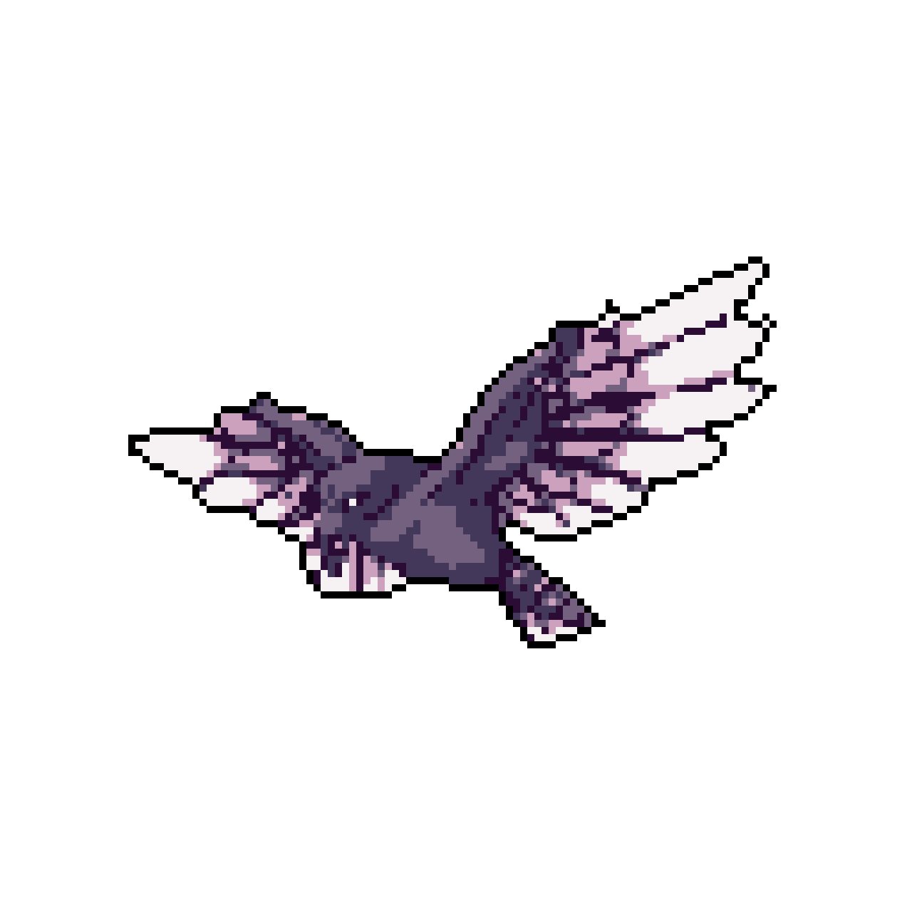 Swift Crow in Flight: Mysterious Purple & White Streaks