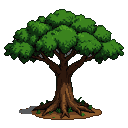 A large, green-canopied tree with a thick, brown, gnarled trunk and exposed roots.