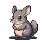 A chinchilla with large dark eyes and perked ears sits with its paws clasped.