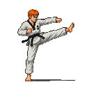 A determined martial artist with ginger hair, wearing a white Taekwondo uniform and black belt, performs a powerful side kick.