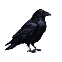 Pixel Art: crow