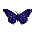 Dark purple butterfly with intricate light blue stripes and white pixel highlights on black background.