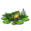 A green frog with dark speckles sits on a lily pad in a swamp.