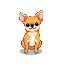 Pixel Art: Idle sprite cute ginger chihuahua. Top down. Remove backgrou...