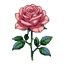 A delicate pink rose with unfurling petals and deep green leaves accented with electric blue, set against a transparent black background.