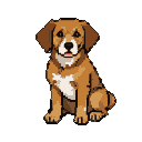 A brown dog with floppy ears and a white chest patch, sitting with its mouth slightly open.