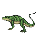 Vibrant green lizard with darker stripes and a creamy underbelly, poised and alert with its tail curving upwards.