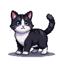 A black and white cat with blue eyes and dark stripes, its tail curved upwards.