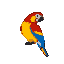 Pixel Art: parrot
