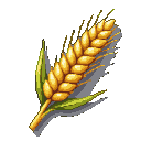 A single golden ear of wheat with plump kernels and two slender green leaves at the base.