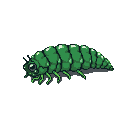 A bright green Tenebrio larva with segmented body, delicate legs, small dark eyes, and antennae, set against a black background.