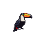 A toucan with a large yellow, orange, and red beak, blue eye accent, dark gray body, white chest, and crimson wing details, standing upright.
