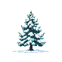 A solitary pine tree covered in snow.