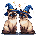 Two Siamese cats wearing blue wizard hats with golden bands, looking forward against a dark, star-speckled background.