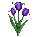Three vibrant purple tulips with "I LOVE YOU" inscribed above.