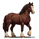 A proud, muscular brown horse with striking white markings stands in stoic contemplation against a void, exuding quiet strength.