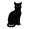 Pixel Art: black ca