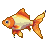 Goldfish with orange and yellow scales, white belly and fins, and a blue eye, on a transparent background.