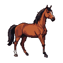Brown horse in profile with white blaze and hind sock on black background.
