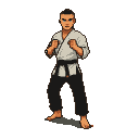 Pixel art generated with AI prompt: karate fighter