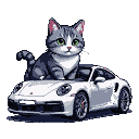 Fluffy grey tabby cat with green eyes sitting on the hood of a white Porsche 911.