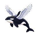 A black and white orca with white pigeon wings soaring.