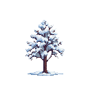 A solitary pine tree heavily laden with fresh snow.