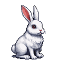 A white rabbit with sharp crimson eyes and perked ears sits alertly against a black background.