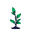 A vibrant green plant with an indigo stem on a black background.