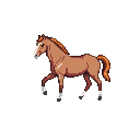 A majestic brown horse, marked with a white blaze and stockings, trots gracefully against a transparent background, evoking quiet power and natural elegance.