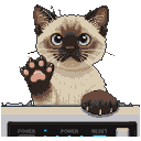Siamese kitten with blue eyes and dark points, one paw raised, peering over a white electronic device.