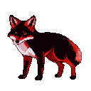 A black and red fox with bright yellow eyes stands alert on a black background.