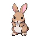 A small brown bunny with a white belly, large ears perked, sitting with paws near its chest.