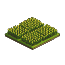 Golden stalks of corn stretch across a tranquil, isometric farm, promising a bountiful harvest under a clear sky.