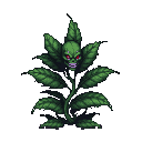 A menacing, verdant plant with a skull-like head, glowing red eyes, and a grimacing mouth, on a dark background.
