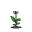 Pixel Art: plant