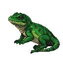 A green frog with textured skin and beige underbelly sits alert, looking left.