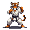 Tiger in a white gi with a black belt, in a karate stance with fists raised.