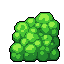 Vibrant Green Orbs Bursting with Life