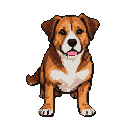 A friendly, alert brown and white pixel art dog with its tongue slightly out sits patiently.